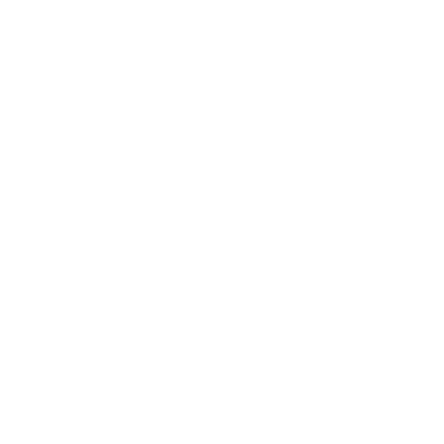 icone-electrcite.png